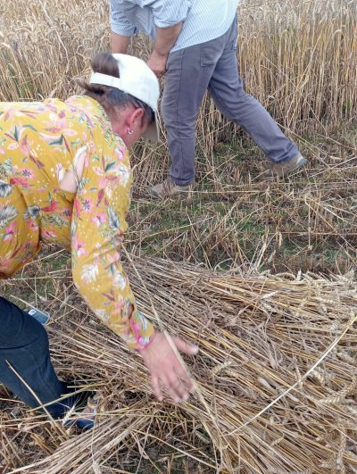 Zażynki w Rozięcinie 2025